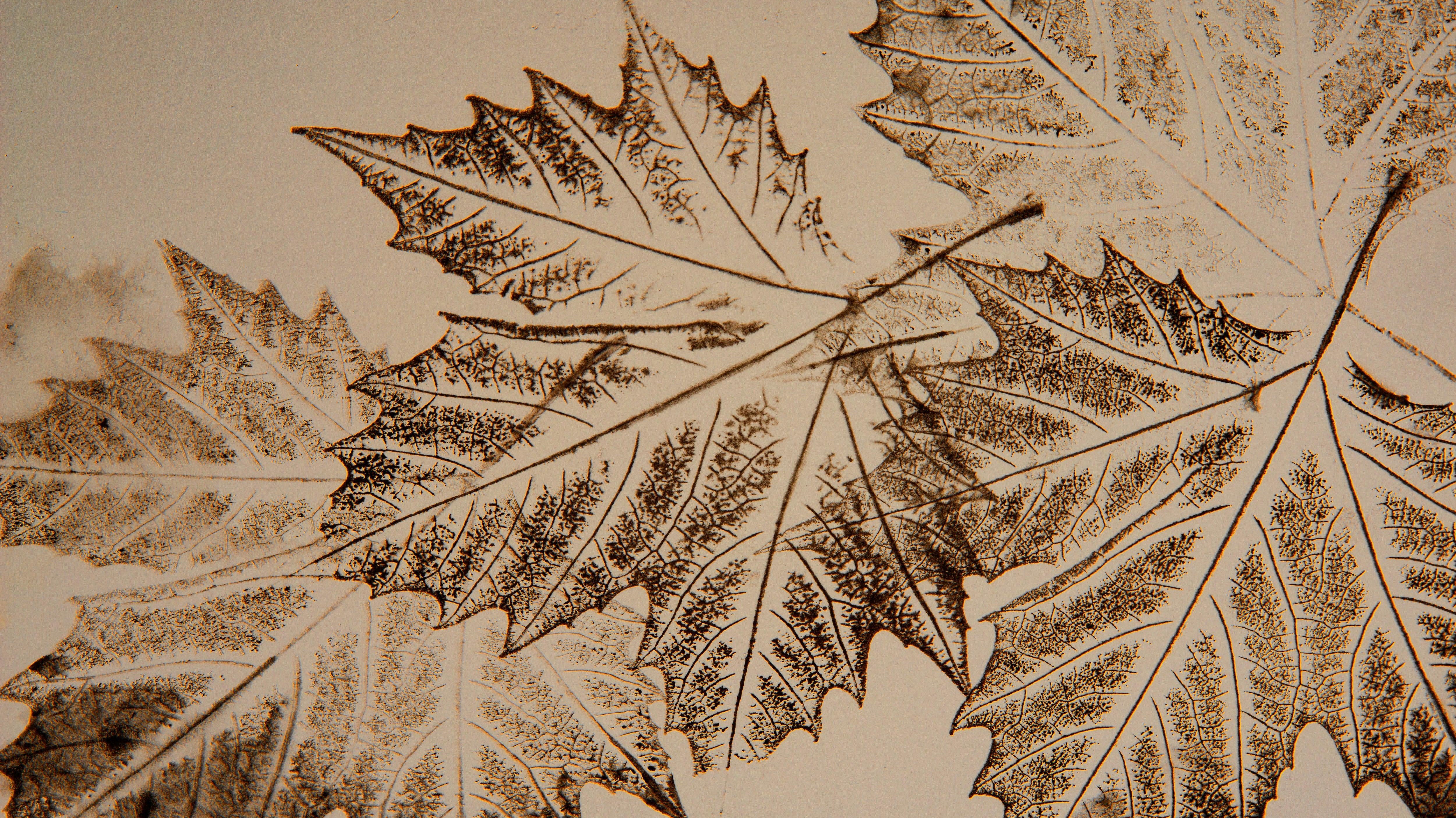 Importance of Printmaking: A Comprehensive Guide