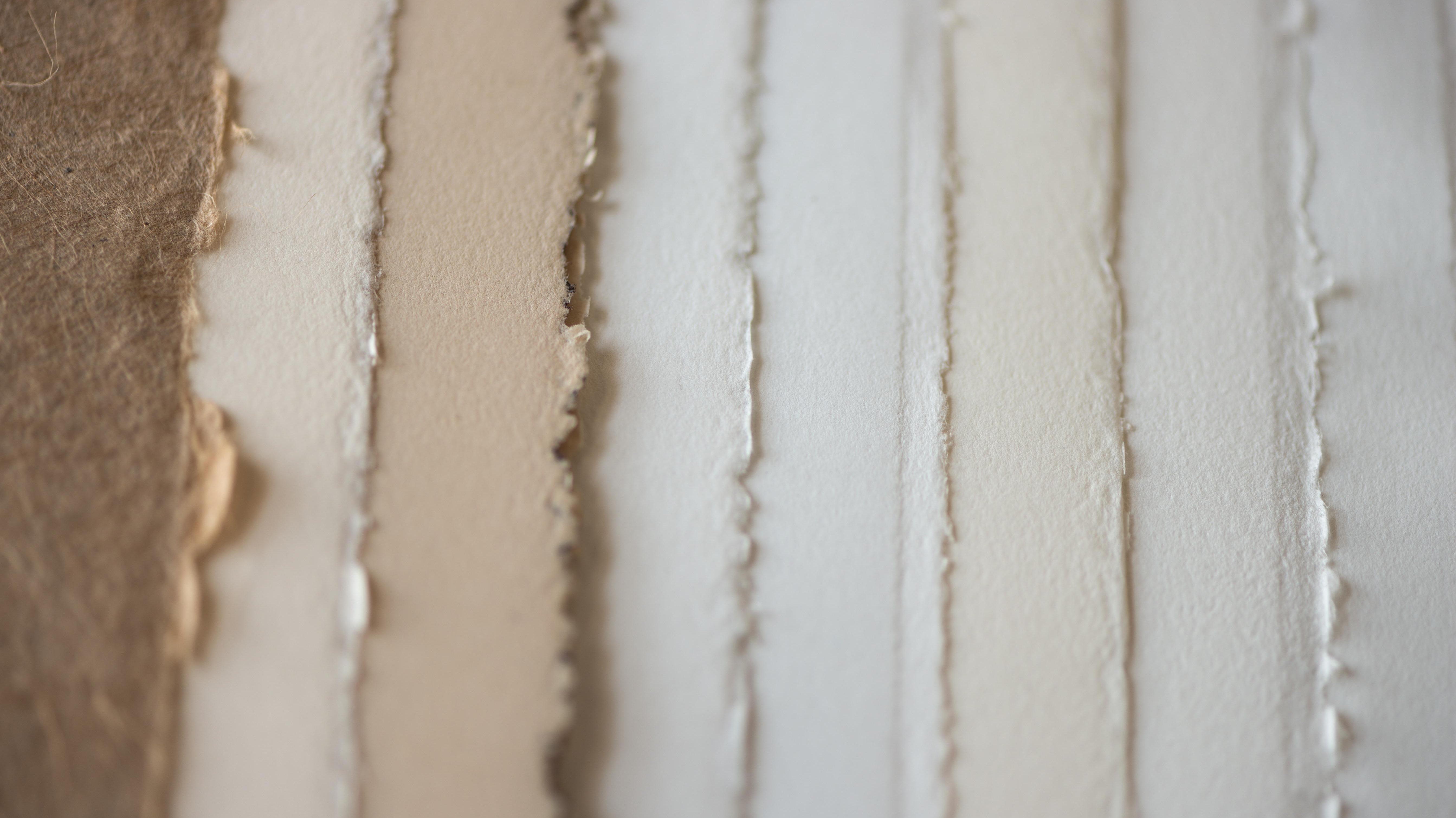 Mastering the Material: A Comprehensive Guide to Printmaking Paper - Gel Press