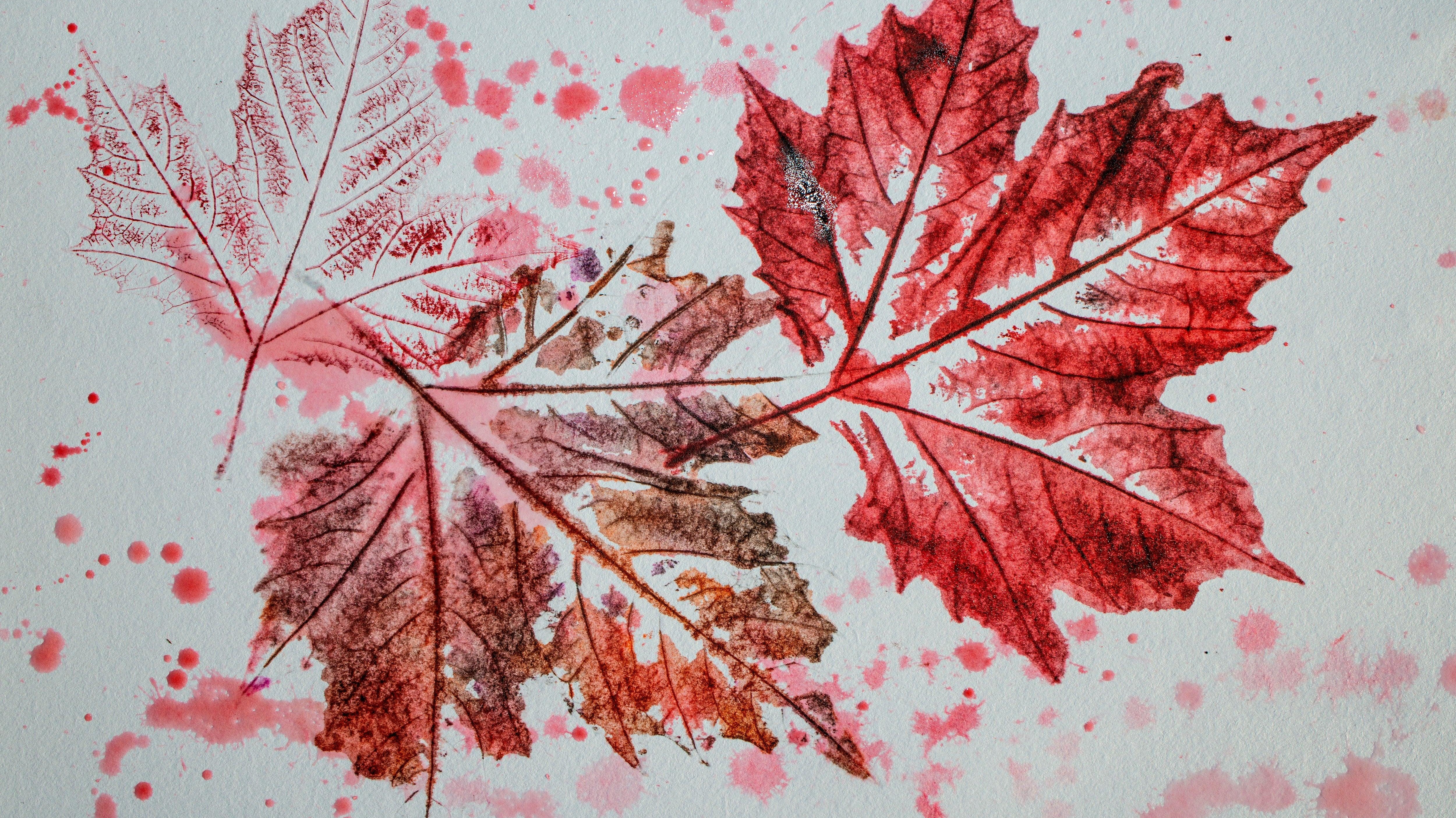 What is a Monoprint?