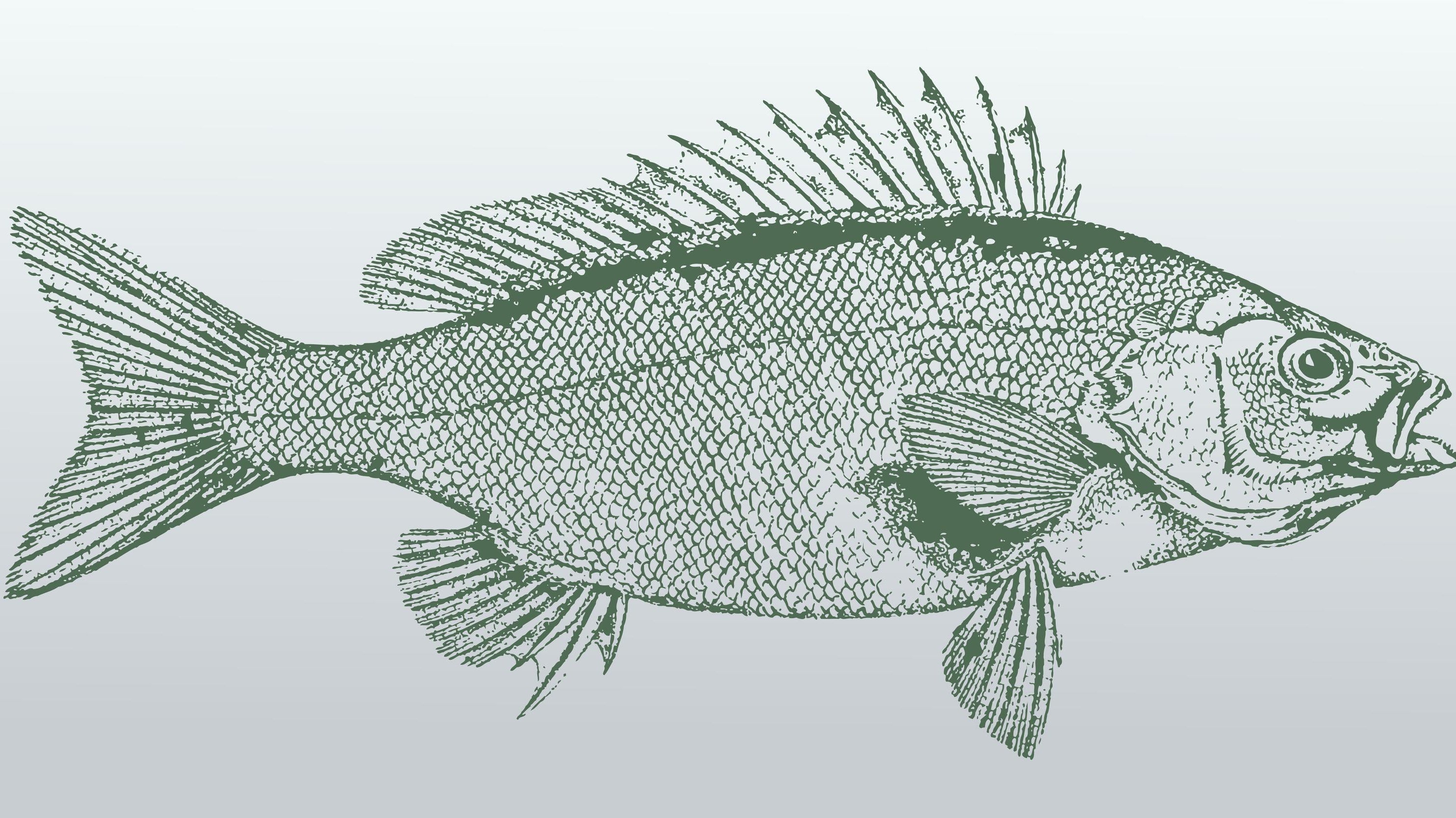 What is Lithography?