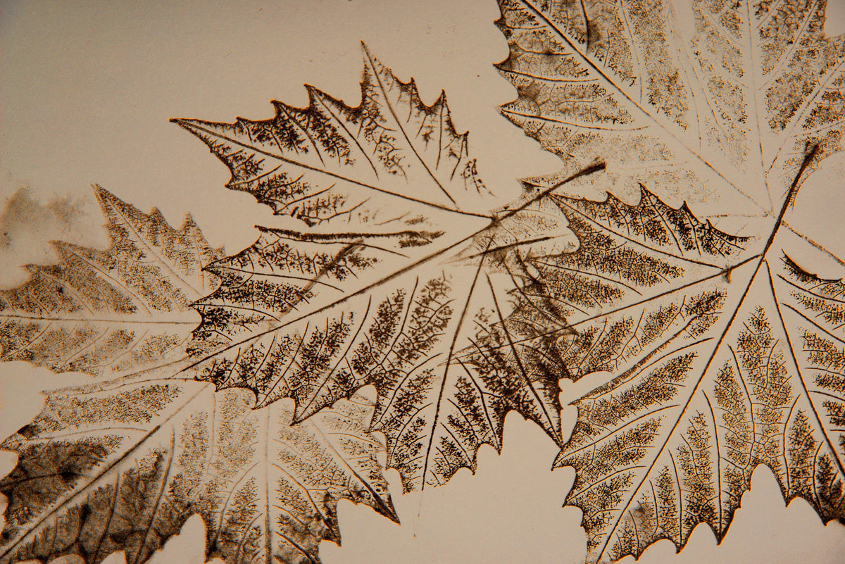 Printmaking Overview Importance of Printmaking: A Comprehensive Guide - Gel Press