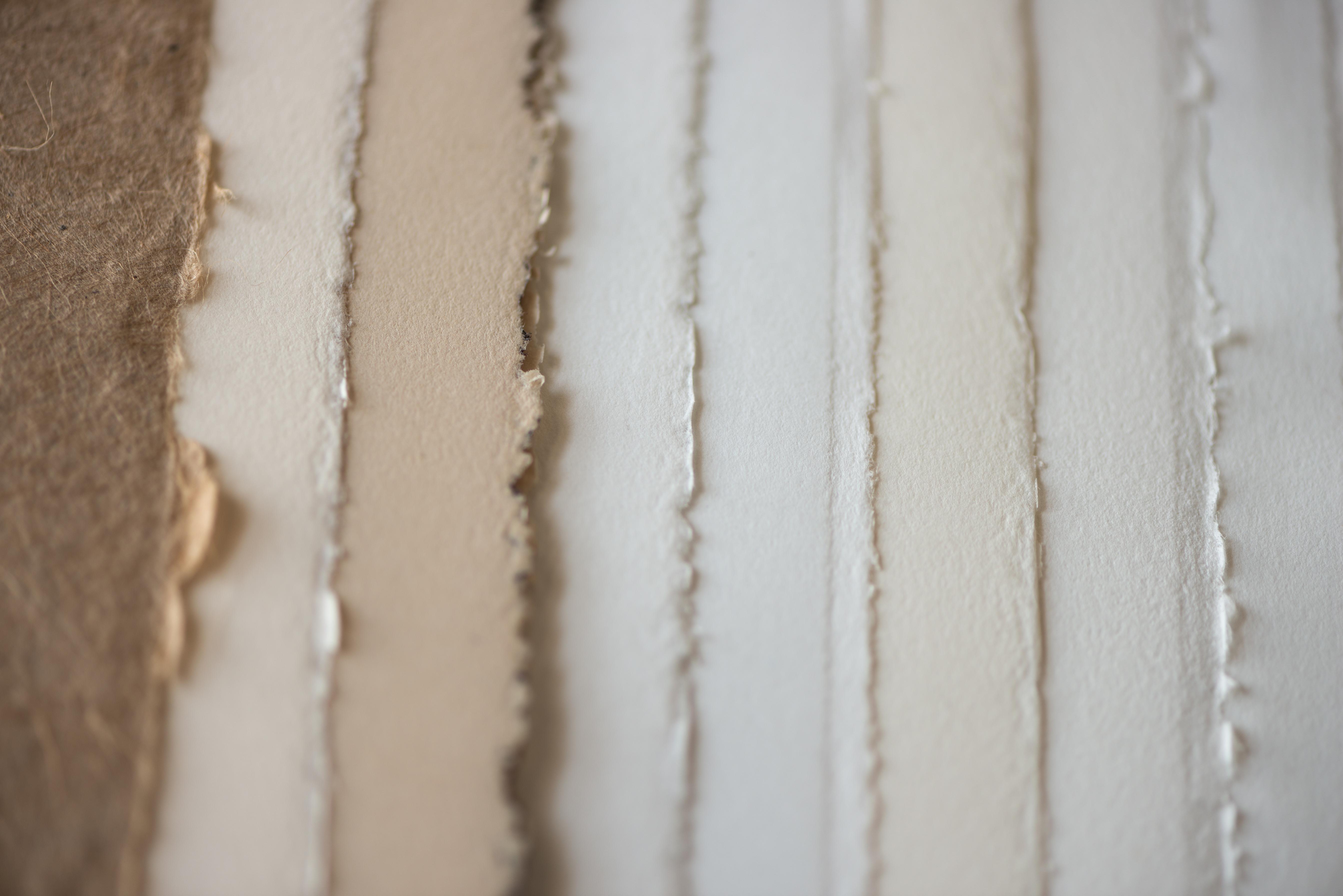 Mastering the Material: A Comprehensive Guide to Printmaking Paper - Gel Press